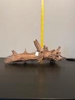 Prachtig stuk Kienhout / Driftwood / Spiderwood #6, Ophalen of Verzenden, Zo goed als nieuw, Plant(en), Steen of Hout