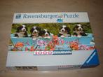 Puzzel Ravensburger Panorama BERNER SENNENHOND 1000 st., Ophalen of Verzenden, 500 t/m 1500 stukjes, Zo goed als nieuw, Legpuzzel