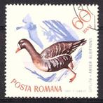 vogal gans Roemenië 1965 stempel ongebruikt, Verzenden, Gestempeld, Dier of Natuur