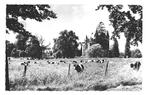 978830 Schin op Geul Limburg 1969 Kasteel Chaloen Gelopen, Verzamelen, Ansichtkaarten | Nederland, Ophalen of Verzenden, 1960 tot 1980