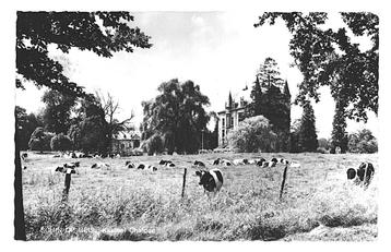 978830 Schin op Geul Limburg 1969 Kasteel Chaloen Gelopen beschikbaar voor biedingen