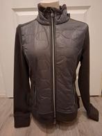 Nieuw hv polo vest m, Dieren en Toebehoren, Paardrijkleding, Hvpolo.nl, Ophalen of Verzenden, Hvpolo.nl, Hvpolo.nl