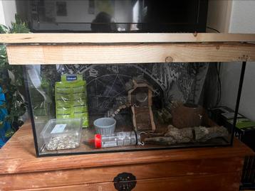 Knaagdier terrarium + reismand en benodigdheden beschikbaar voor biedingen