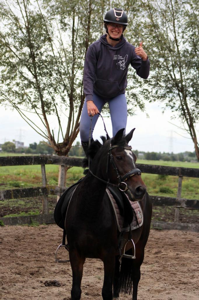 Mega lieve ervaren New forest merrie!, Dieren en Toebehoren, Pony's, Merrie, B, D pony (1.37m tot 1.48m), Recreatiepony, 11 jaar of ouder