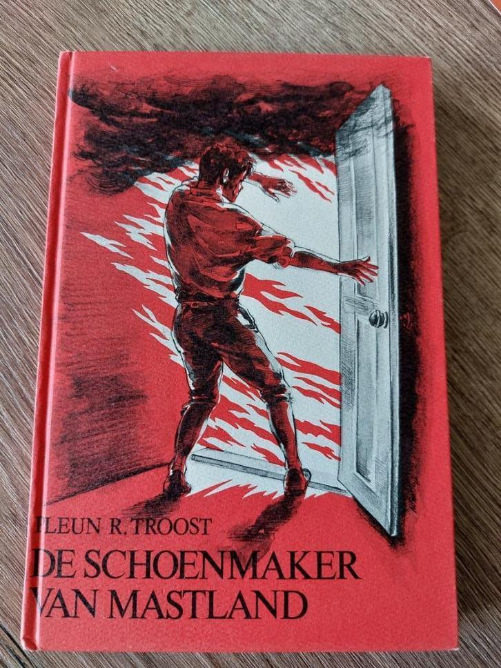 Pleun R. Troost - De schoenmaker van Mastland, Boeken, Streekboeken en Streekromans, Zo goed als nieuw, Zuid-Holland, Ophalen of Verzenden
