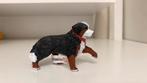 Schleich McDonald's Berner Sennen Hond Happy Meal 10b, Ophalen of Verzenden, Zo goed als nieuw, Hond of Kat, Beeldje of Figuurtje