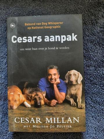 boek cesars aanpak beschikbaar voor biedingen