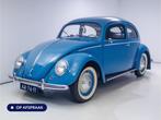 Volkswagen Kever Brilkever | 1951 | Concoursstaat | Zeldzaam, Stof, Bedrijf, Handgeschakeld, Blauw