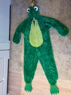 Kikker onesie Carnaval, Ophalen of Verzenden, Zo goed als nieuw, 146 t/m 152, Jongen of Meisje