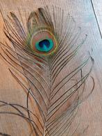 Pauwenveren, Huis en Inrichting, Woonaccessoires | Droogbloemen, Ophalen of Verzenden, Zo goed als nieuw