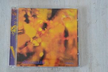  	 STEAMHAMMER == Reflection 13 geweldige nummers  beschikbaar voor biedingen