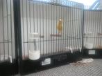 Te Koop Raza kanarie,s  € 25  per Stel., Dieren en Toebehoren, Meerdere dieren, Zangkanarie