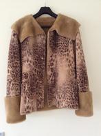 Dames  lammy coat motief pantermt 38/40, Ophalen of Verzenden, Zo goed als nieuw, Maat 38/40 (M), Beige
