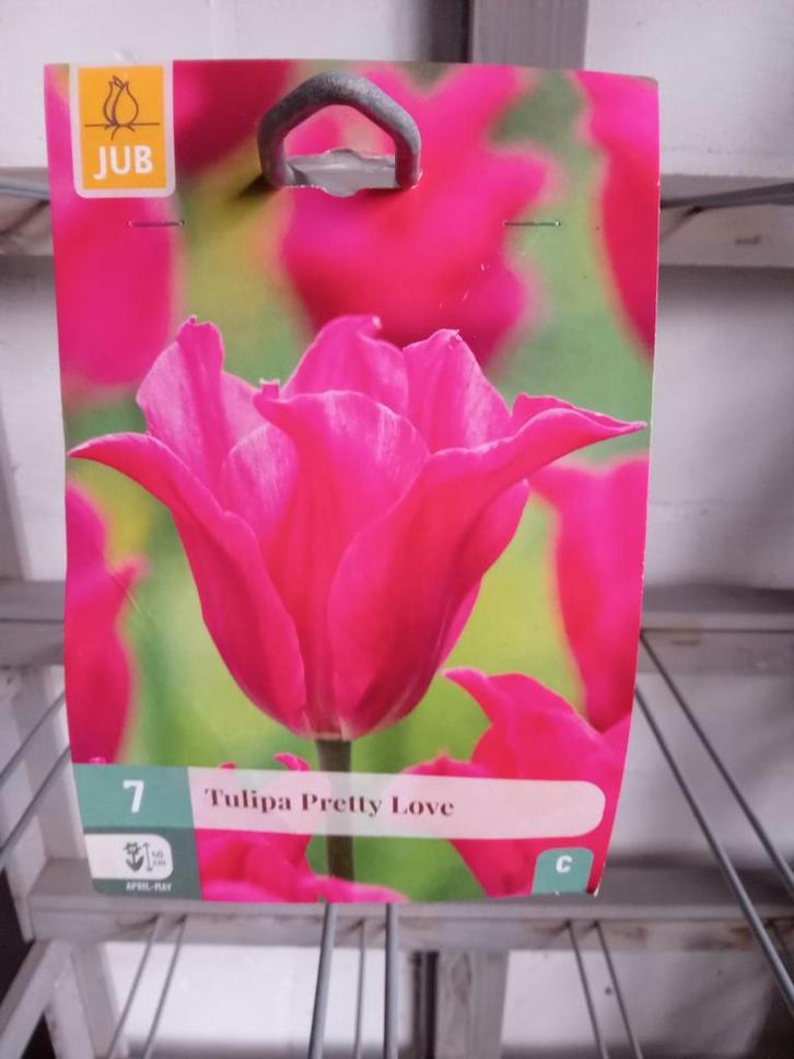 New Tulpen, Tuin en Terras, Bloembollen en Zaden, Volle zon, Ophalen of Verzenden