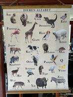 schoolplaat met alfabet van dieren gemaakt educatief, Natuur en Biologie, Ophalen of Verzenden
