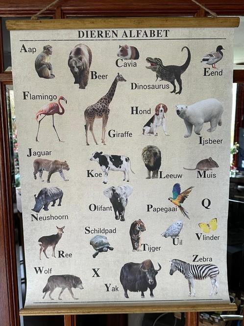 schoolplaat met alfabet van dieren gemaakt educatief, Antiek en Kunst, Antiek | Schoolplaten, Natuur en Biologie, Ophalen of Verzenden