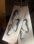 Nieuw: Biorb zeepaardjes! 7,50€, Dieren en Toebehoren, Vissen | Aquaria en Toebehoren, Ophalen of Verzenden, Nieuw
