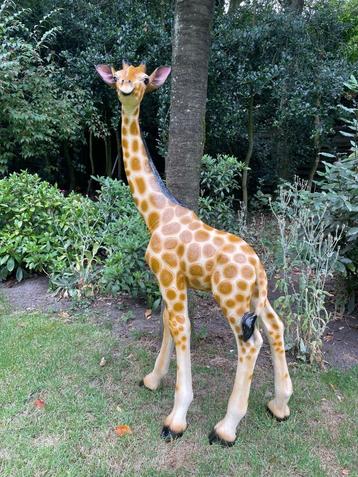 (Tuin)Beeld giraffe, tuin, baby, zwembad, vijver 120cm beschikbaar voor biedingen