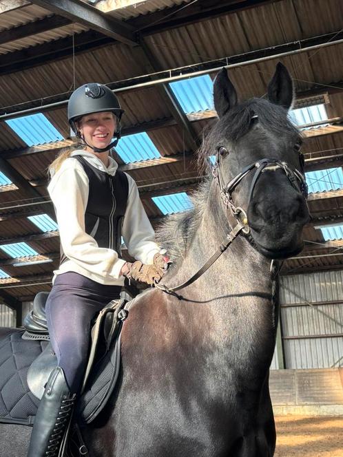 Bijrijdpaard gezocht (bijrijder/ verzorger aangeboden), Dieren en Toebehoren, Paarden en Pony's | Verzorgingsproducten, Ophalen of Verzenden