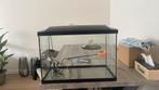Aquarium tekoop, Dieren en Toebehoren, Knaagdieren en Konijnen | Hokken en Kooien, Ophalen, Zo goed als nieuw, Kooi, Minder dan 60 cm
