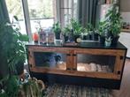 Betonplex terrarium, custom, Dieren en Toebehoren, Ophalen, Gebruikt, Terrarium of Paludarium
