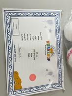 Kuromi Pink - Zeldzaam - Build a bear + doos certificaat pop, Nieuw, Ophalen of Verzenden, H, H
