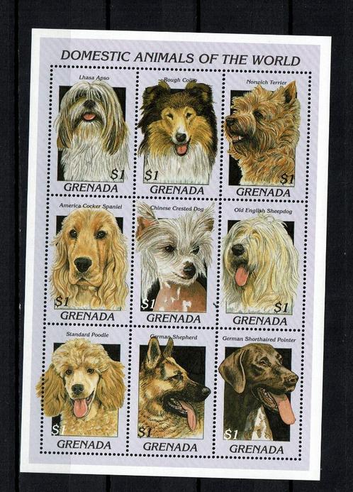 grenada 1997 pf blok honden dogs zoogdieren, Postzegels en Munten, Postzegels | Thematische zegels, Postfris, Dier of Natuur, Ophalen of Verzenden