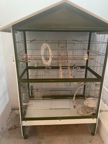 Mooie grote vogelkooi beschikbaar voor biedingen