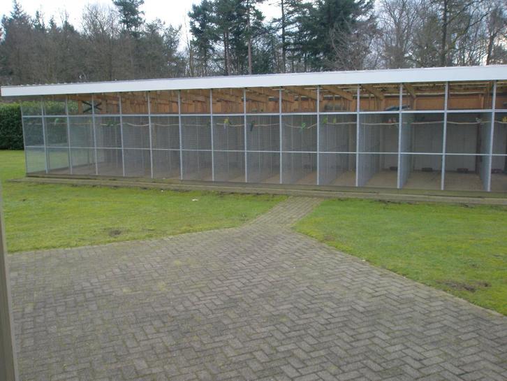 volière, Dieren en Toebehoren, Vogels | Hokken en Kooien, Gebruikt, Volière, Aluminium, Ophalen