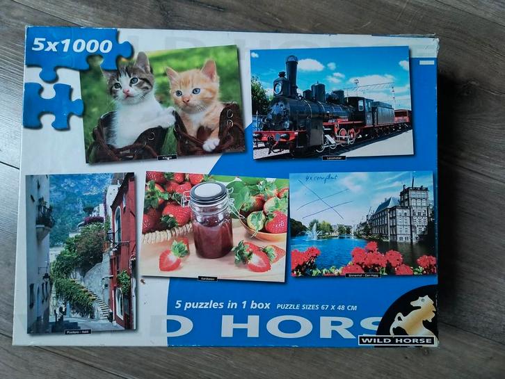 4 puzzels van 1000 stukjes in 1 doos, Hobby en Vrije tijd, Denksport en Puzzels, Gebruikt, Legpuzzel, 500 t/m 1500 stukjes, Ophalen of Verzenden