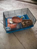 Hamster kooi (klein) + Div Accessories, Dieren en Toebehoren, Knaagdieren en Konijnen | Hokken en Kooien, Kooi, Minder dan 75 cm