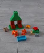 Duplo Dieren Set, Vossen., Ophalen of Verzenden, Zo goed als nieuw, Duplo