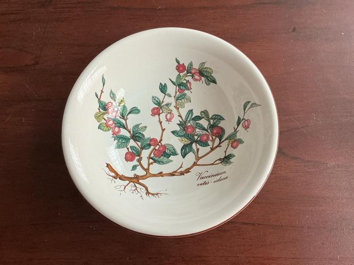 Villeroy & Boch Botanica Compoteschaaltje (10 stuks), Huis en Inrichting, Woonaccessoires | Schalen en Manden, Gebruikt, Schaal