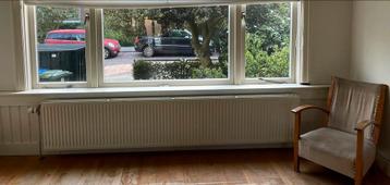 Lange 2,6m radiator beschikbaar voor biedingen
