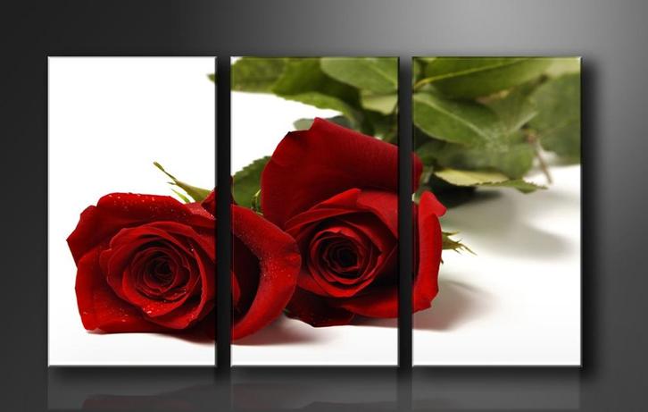 Nieuw * 3 Luik Canvas Schilderij * Rode Rozen Roos 90x160cm, Antiek en Kunst, Kunst | Schilderijen | Klassiek, Ophalen of Verzenden