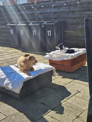 Woof boxspring  beschikbaar voor biedingen