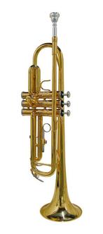 Stewart Ellis SE-1800L Trompet, Nieuw, Stewart Ellis, Ophalen of Verzenden, Bes-trompet