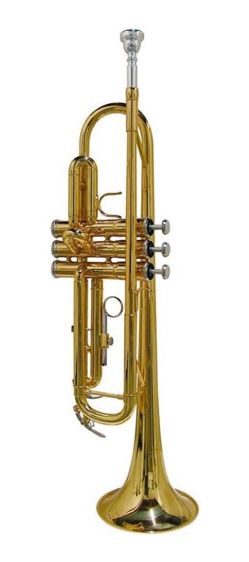 Stewart Ellis SE-1800L Trompet beschikbaar voor biedingen