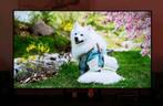 TCL, 55 inch - 4K QLED, QLED, 120 Hz, Zo goed als nieuw, 100 cm of meer