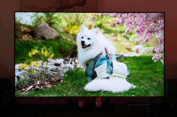TCL, 55 inch - 4K QLED beschikbaar voor biedingen