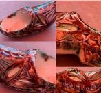 Sonsbeek aardewerk Klein klompje Fries Kerfsnede aardewerk, Ophalen of Verzenden