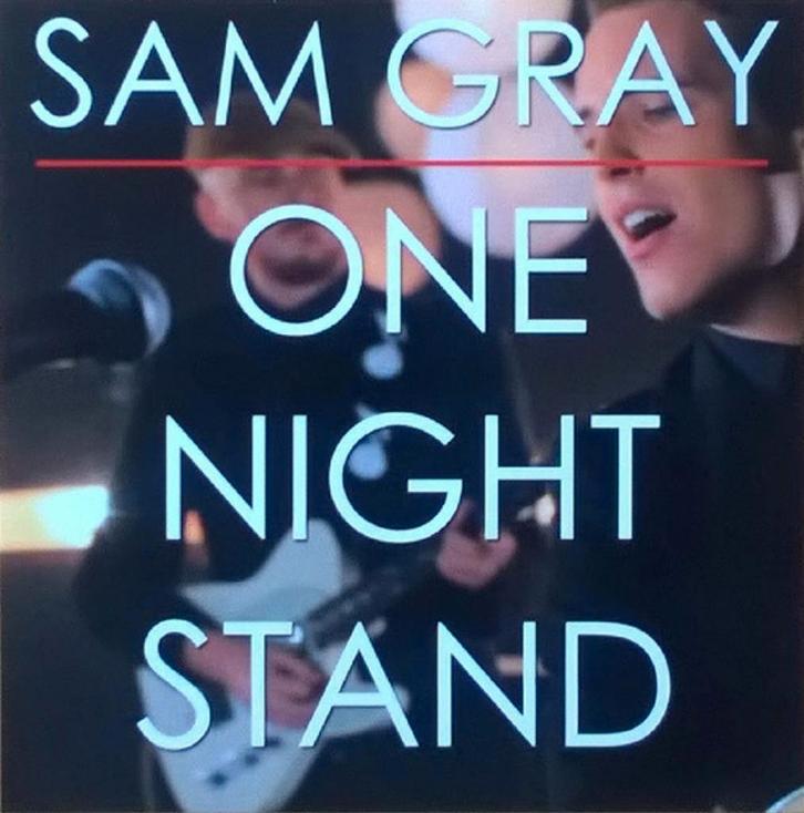 Sam Gray - One Night Stand (PROMO), Cd's en Dvd's, Cd Singles, Zo goed als nieuw, Overige genres, Ophalen of Verzenden