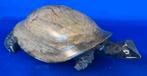 Schildpad, Ophalen of Verzenden, Zo goed als nieuw, Reptiel of Amfibie, Beeldje of Figuurtje