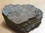mi. 6x ruwe edelsteen TIJGEROOG (2), Verzenden, Mineraal