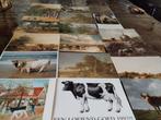 Kunstkaarten 18 x van koeien details zie Foto's ongelopen., Verzamelen, Ansichtkaarten | Dieren, Ophalen of Verzenden