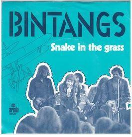 Bintangs Snake in the Grass Nederpop Blues Rock, Cd's en Dvd's, Vinyl Singles, Zo goed als nieuw, Single, Pop, Verzenden