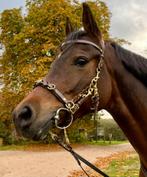 By Baukje Kaptoom donkerbruin maat pony, Dieren en Toebehoren, Ophalen of Verzenden, Zo goed als nieuw, Recreatie