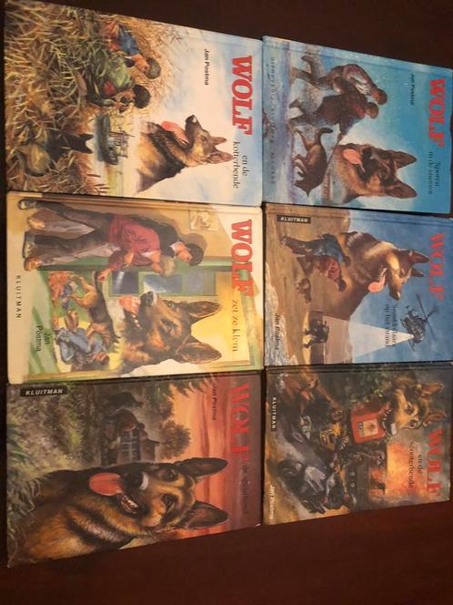 Wolf boeken, Boeken, Avontuur en Actie, Zo goed als nieuw, Ophalen of Verzenden