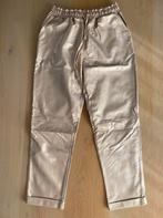 Faux leather broek goud. Nieuw PU leer., Kleding | Dames, Broeken en Pantalons, Ophalen of Verzenden, Nieuw, Zwart