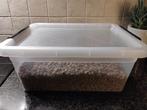 Prins weight reduction & diabetic kattenbrokjes, Ophalen of Verzenden, Zo goed als nieuw